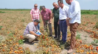 Tarım Komisyonu Dolu Zararını İnceledi