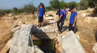 Hollandalı Turistin Mersin'de Kaybolduğu İddiası