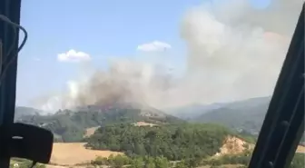 Çanakkale'de Orman Yangını