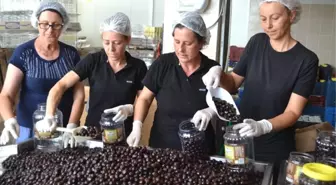 Ayvalık'tan Hong Kong'a 150 Bin Dolarlık Zeytin Gönderildi