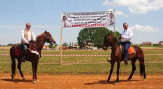 Devrekani'de Geleneksel At Yarışları Düzenlendi