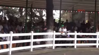 Bursa Yarış Tayları, Ev Fiyatına Alıcı Buldu
