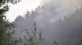 Hatay'da Orman Yangını
