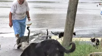 Hurdacı Kadının Hayvan Sevgisi