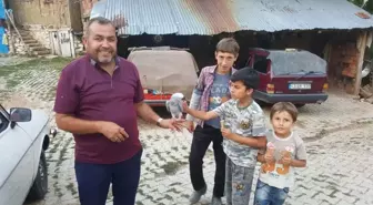 Köydeki Papağan İlgi Odağı Oldu