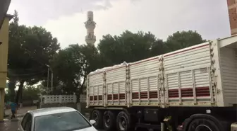 Manisa'da Fırtına Hayatı Olumsuz Etkiledi