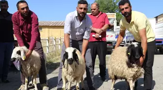 Bingöl'de Genç Üreticilere Hayvan Desteği