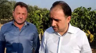 Manisa'da Etkili Olan Dolu ve Kuvvetli Rüzgar