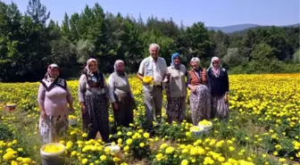 Sanatçı Ediz Hun Orhaneli'ye Hayran Kaldı