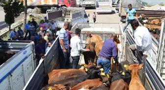 Şırnak'ta Genç Çiftçilere Destek