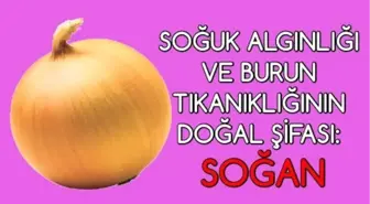 Soğuk Algınlığının Doğal Şifası Soğan