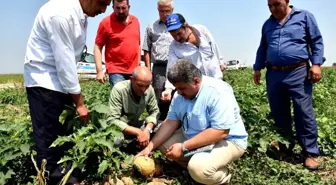 Tarım Komisyonu'ndan 'Dolu' Seferberliği