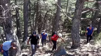 Kayboldukları Sanılan Turistle Türk Arkadaşı Kurdukları Çadırda Bulundu