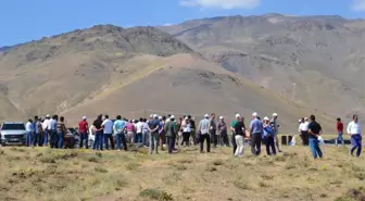 Süphan Dağı Eteklerinde Şenlik Coşkusu