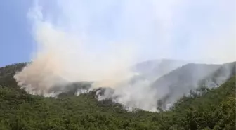 Tunceli'de Orman Yangınları 2