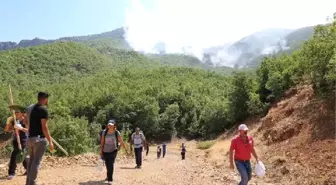 Tunceli'de Orman Yangınları