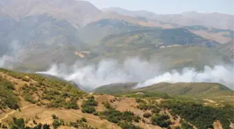 Tunceli'deki Orman Yangınları