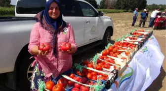 Dümrek Köyü'nde Tarla Günü Düzenlendi