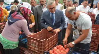 Vali Şimşek, Nektari Hasadı Yaptı