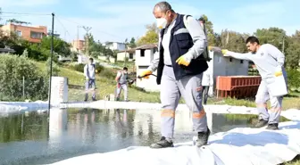 Mersin'de Haşere ile Mücadele Çalışmaları Sürüyor