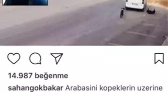 Şahan Gökbakar: Hayvanları Öldürmek Cinayettir