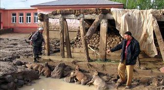 Ağrı'da Sel