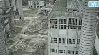 Manifesto Fragmanı İzle