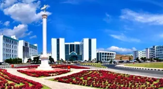 Mide Kanseri, Ülser ve Lenfomaya İyi Geliyor