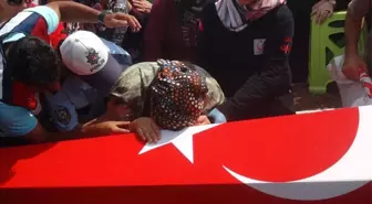 Şehidin Hamile Eşi Tabutuna Sarılarak Ağladı