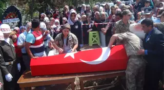 Şehidin Hamile Eşi Tabutuna Sarılarak Ağladı