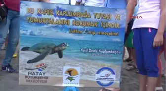 Hatay 25 Bin Kaplumbağa Denize Ulaştı