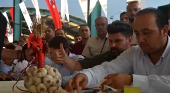 Taşköprü'de En İyi Sarımsaklar Seçildi