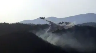 Hatay'da, Yangında 5 Hektarlık Orman Zarar Gördü