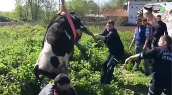 Su Kuyusuna Düşen İneği İtfaiye Ekipleri Kurtardı