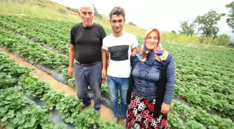 Destekle Çilek Serası Kurdu, Eşinden Fazla Kazanıyor