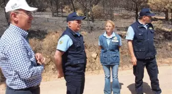 Balıkesir Valisi Yazıcı; Ayvalık'ta Yanan Alanın Yapılaşmaya Açılması Söz Konusu Değil