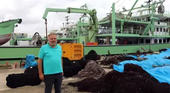 Balıkçılar Bu Sezon Hamsiden Umutlu