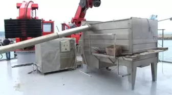 Balıkçılar Sezon Öncesi Hamsiden Umutlu