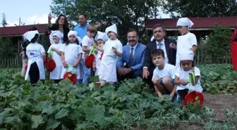 Başkan Acehan Kadın ve Çocuklarla Salatalık Topladı Turşu Kurdu