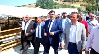 Kurban Fiyatlarındaki Artış Makul'