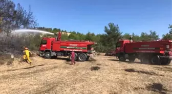 Bilecik'te Çıkan Yangında 1 Dönümlük Ormanlık Alan Zarar Gördü