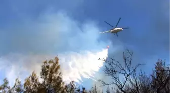 Antalya'da Orman Yangını (3)