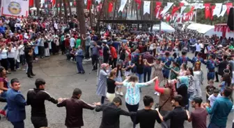 Ardahan'da Bal Festivali Coşkusu