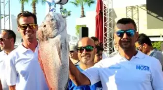 2017 Most Bodrum Turnuvası'nda Türkiye Turnuva Rekoru Kırıldı !!