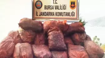 22 Ton Kaçak Midye Ele Geçirildi