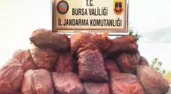 Bursa'da Kaçak Avlanan 22 Ton Midye Ele Geçirildi