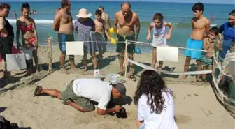 Kuşadası'nda Caretta Caretta Seferberliği