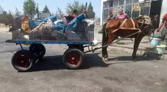 Otobanda At Arabası ile Yolculuk