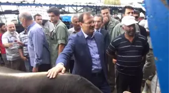 Başbakan Yardımcısı Çavuşoğlu, Sürücüleri Uyardı