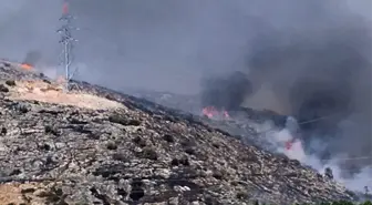 İzmir'de Korkutan Yangın